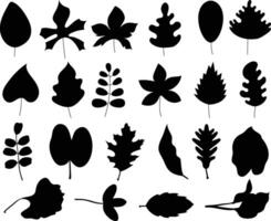 Leaves silhouette on white background vector