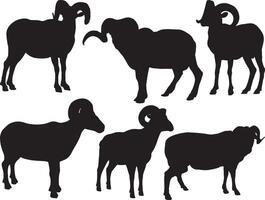 Ram silhouette on white background vector