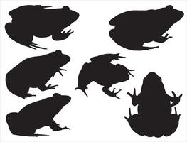 Frogs silhouette on white background vector