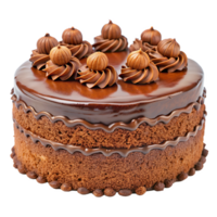 A Delicious Chocolate Cake png