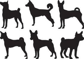 Basenji dogs silhouette on white background vector