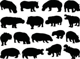 Hippopotamus silhouette on white background vector