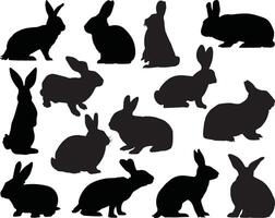 Rabbit silhouette on white background vector