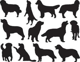 Golden retriever dogs silhouette on white background vector