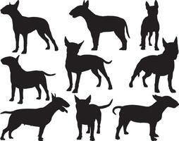 Bull terrier dogs silhouette on white background vector