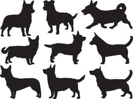 Lancashire heeler dogs silhouette on white background vector