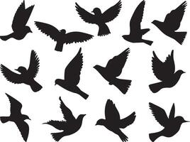 Siluetas pajaros birds silhouette on white background vector