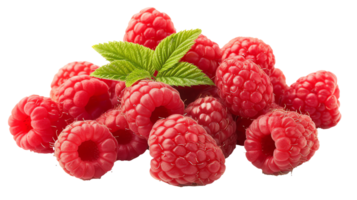 Frais framboises transparent photo png