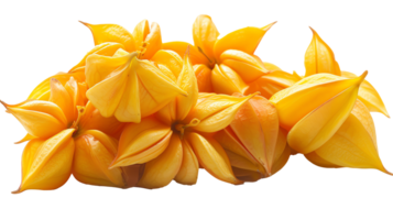 fresh Star Fruits transparent image png