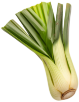 crinum légume, illustration png