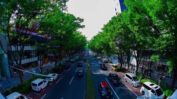 A timelapse of cityscape at Omotesando avenue in Tokyo fisheye shot tilt video