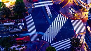 un' notte lasso di tempo di shibuya attraversamento nel tokyo lungo tiro alto angolo video