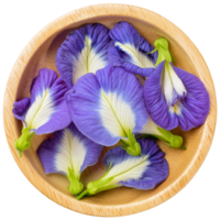 fleur de pois papillon png