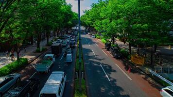 un' lasso di tempo di paesaggio urbano a omotesando viale nel tokyo giorno largo tiro panning video