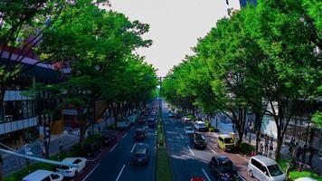 uma espaço de tempo do paisagem urbana às omotesando Avenida dentro Tóquio olho de peixe tiro ampliação video