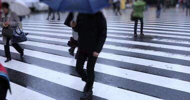 gående människor kropp delar på de korsning i shinjuku tokyo regnig dag video