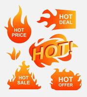 Hot Offer Badge Collection vector