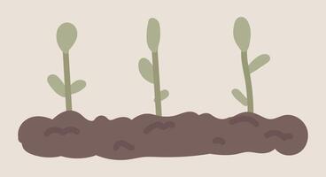 Seedling growing in garden soil in flat design. Vegetable farming process. illustration isolated. vector