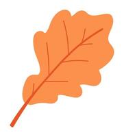 Autumn oak leaf in flat design. Forest orange leaflet on twig with veins. illustration isolated. vector