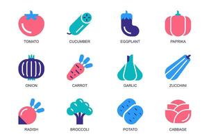 Veggies concept of web icons set in simple flat design. Pack of vegetables, tomato, cucumber, eggplant, paprika, carrot, garlic, zucchini, radish, broccoli, other. pictograms for mobile app vector