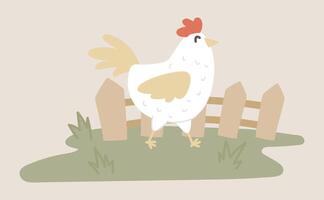 Chicken grazing at grass by fence in flat design. Poultry ranch farming. illustration isolated. vector