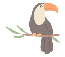 Cute toucan sits on branch in flat design. Happy jungle pet, tropical bird. illustration isolated. vector