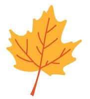 Autumn maple leaf in flat design. Forest orange leaflet, woodland foliage. illustration isolated. vector