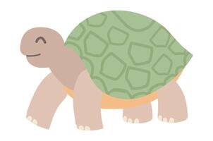 Cute turtle in flat design. Happy wildlife tortoise, funny sea reptile. illustration isolated. vector