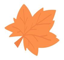 Autumn maple leaf in flat design. Cute orange falling foliage with veins. illustration isolated. vector