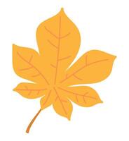 Autumn chestnut leaf in flat design. Forest orange foliage with veins. illustration isolated. vector