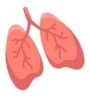 Human lungs in flat design. Breathe organ anatomy, respiratory health. illustration isolated. vector