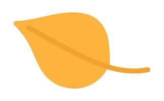 Autumn season leaf in flat design. Forest dry orange foliage with twig. illustration isolated. vector