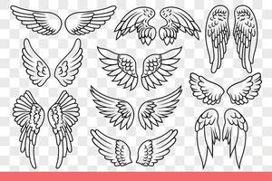 Wings of angels and birds with long feathers for flight on melting distance. Hand drawn doodle. vector