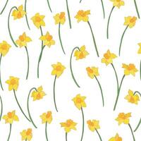 Daffodils seamless pattern. Hand drawn flowers. vector