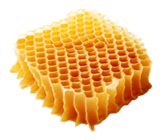honey comb isolated on transparent background png