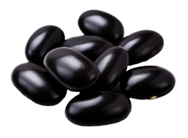 black bean isolated on transparent background png