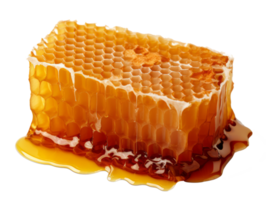 honey comb isolated on transparent background png