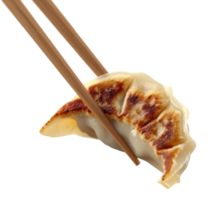 gyoza aislado en transparente antecedentes png