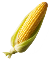 corn isolated on transparent background png