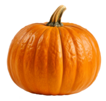 pumpkin isolated on transparent background png