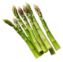 asperges geïsoleerd Aan transparant achtergrond png