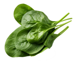 spinach isolated on transparent background png