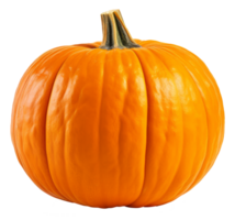 pumpkin isolated on transparent background png