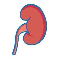 kidney icon illustration design template vector