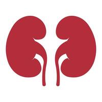 kidney icon illustration design template vector