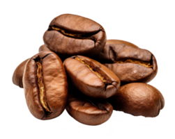 coffee bean isolated on transparent background png