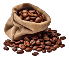 coffee bean isolated on transparent background png