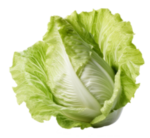 lettuce isolated on transparent background png