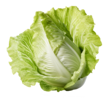 lechuga aislado en transparente antecedentes png