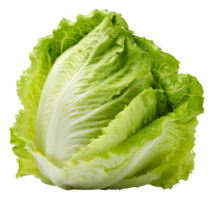 lettuce isolated on transparent background png